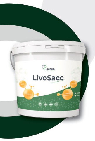 LİVO SACC ambalajı