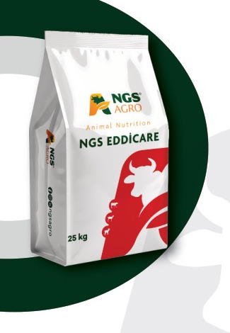 NGS EDDİCARE ambalajı