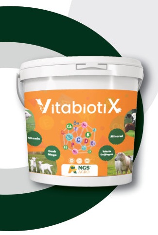 VİTABİOTİX ambalajı